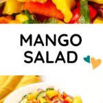 Salade de mangue – Vegan à bord