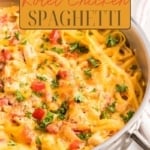 Spaghettis au poulet Rotel – Le Nester à plumes
