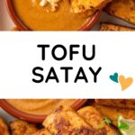 Satay de tofu avec sauce végétalienne aux arachides