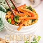 Bol de poulet et de riz – le Nester à plumes